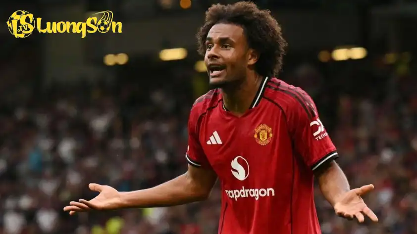 Người đại diện của Zirkzee bị chỉ trích khi chọn MU làm bến đỗ (Ảnh: GOAL) Người đại diện của Zirkzee bị chỉ trích khi chọn MU làm bến đỗ