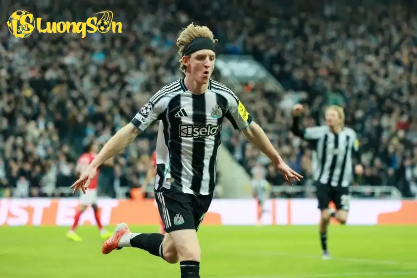 Newcastle đang có phong độ tốt tại Champions League